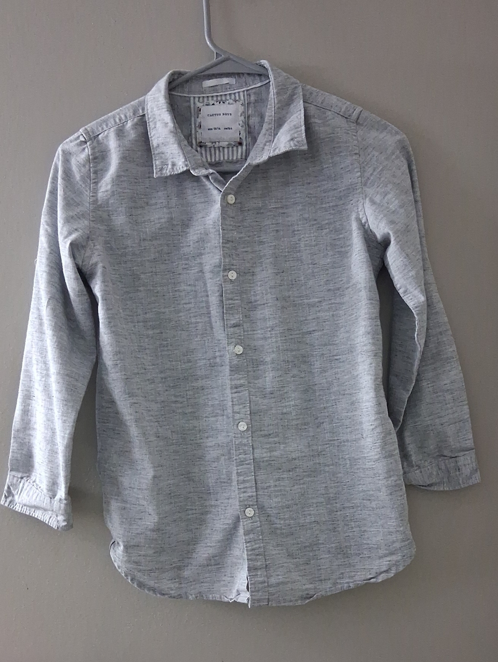 Cactus Light Gray Casual Button-Down Shirt